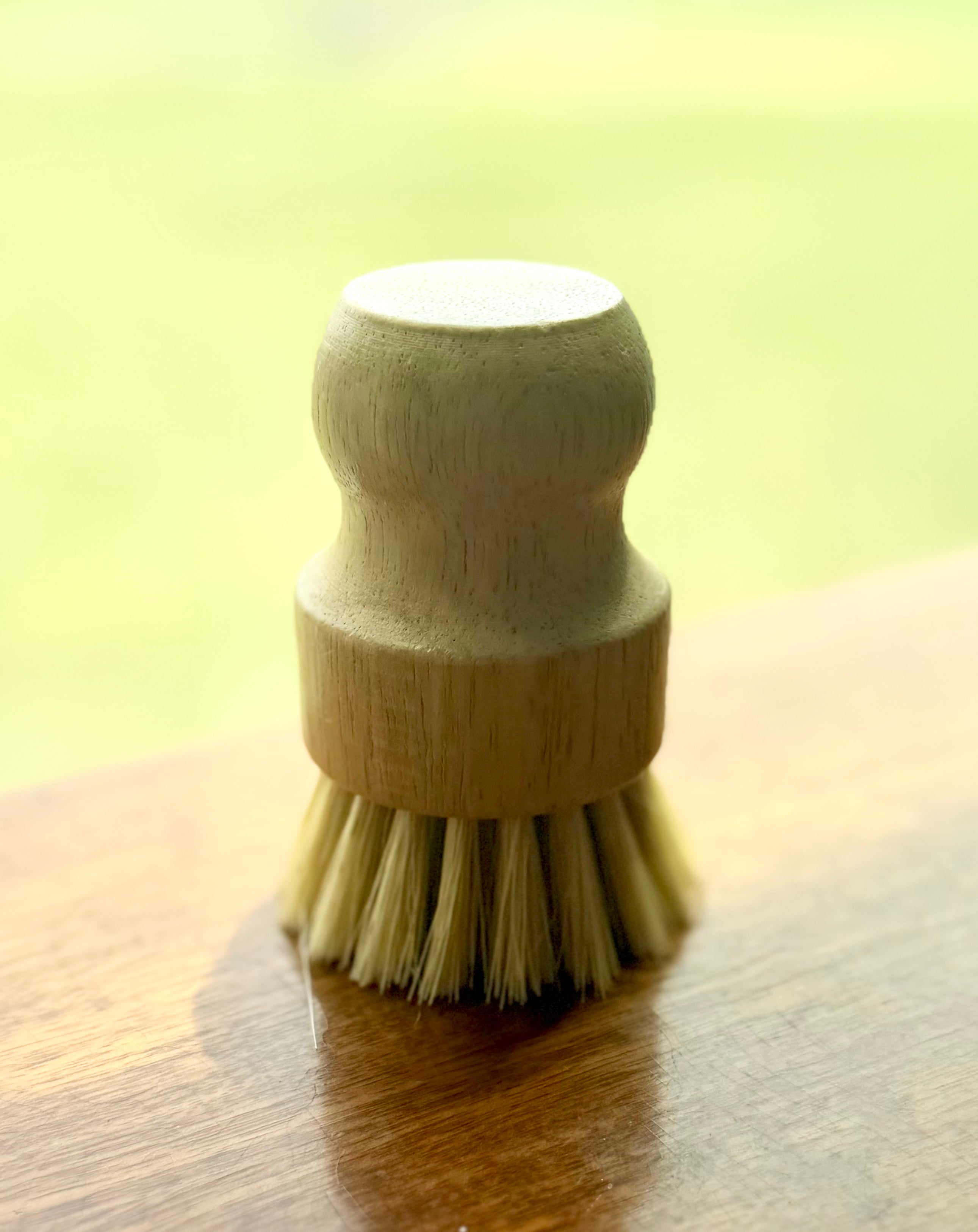 Scrub Brush
